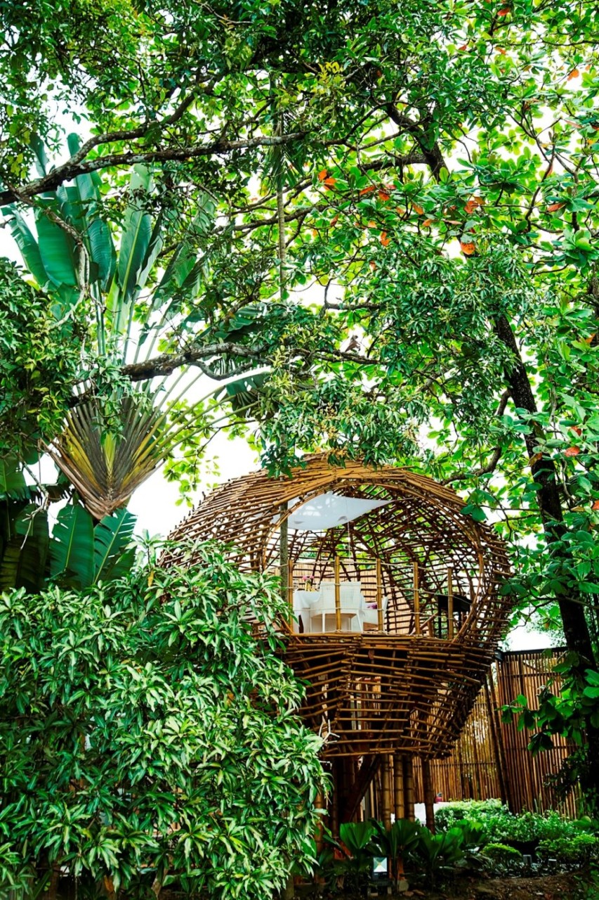 Seeds Restaurant Lounge Luxury Restaurant Awards