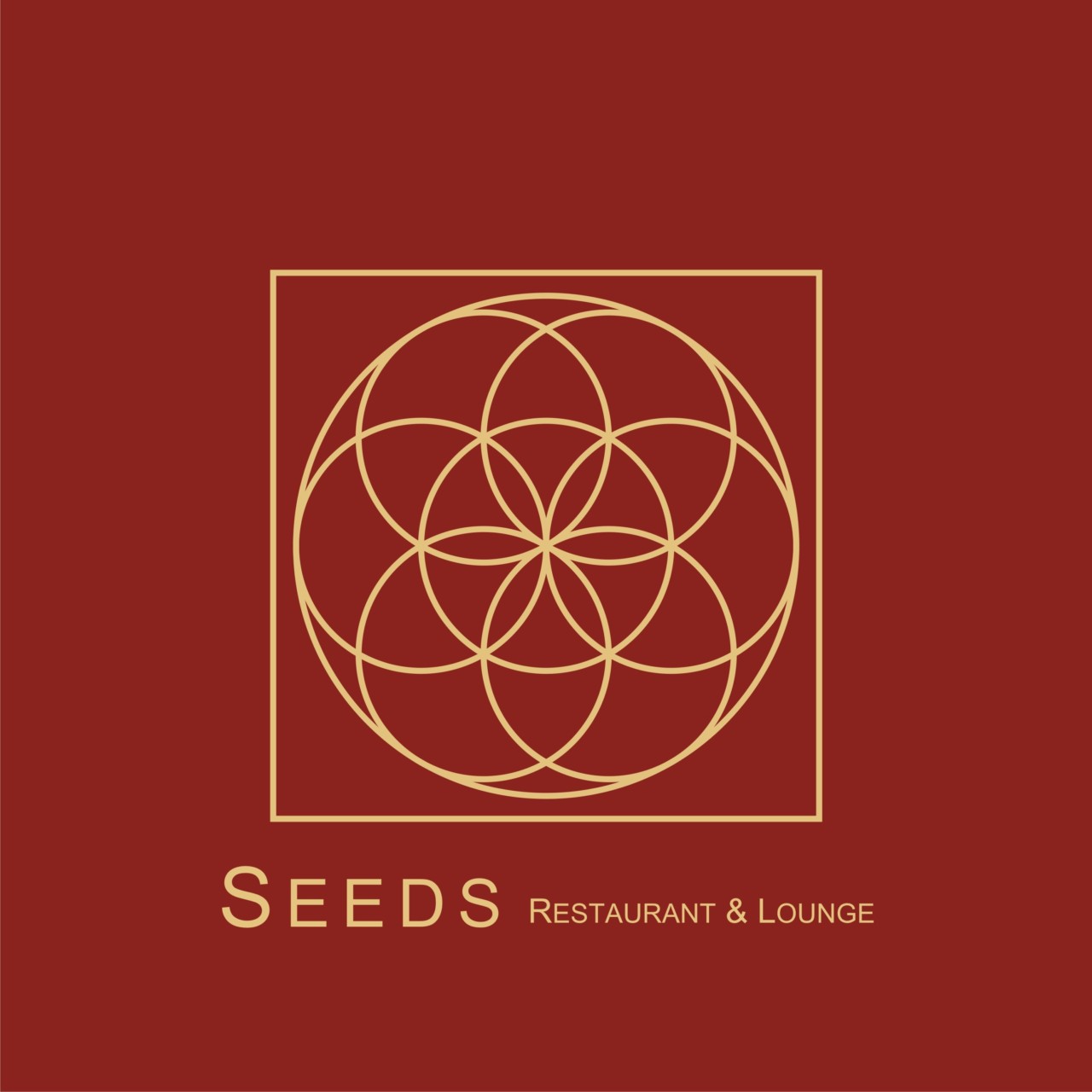 bestpictrxhs 100以上 Seed Restaurant Malta Contact Number 4958 Seed Restaurant Malta Contact Number